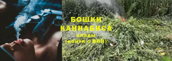 амф Надым