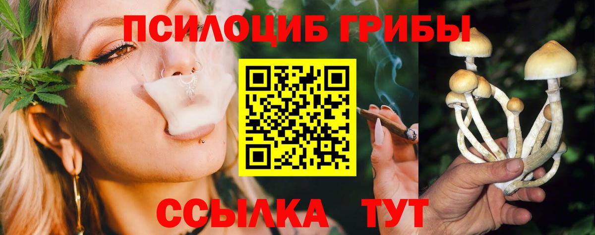 Псилоцибиновые грибы MAGIC MUSHROOMS  Вход с VPN  Псилоцибиновые грибы GOLDEN TEACHER  Мегион 